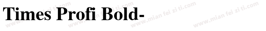 Times Profi Bold字体转换